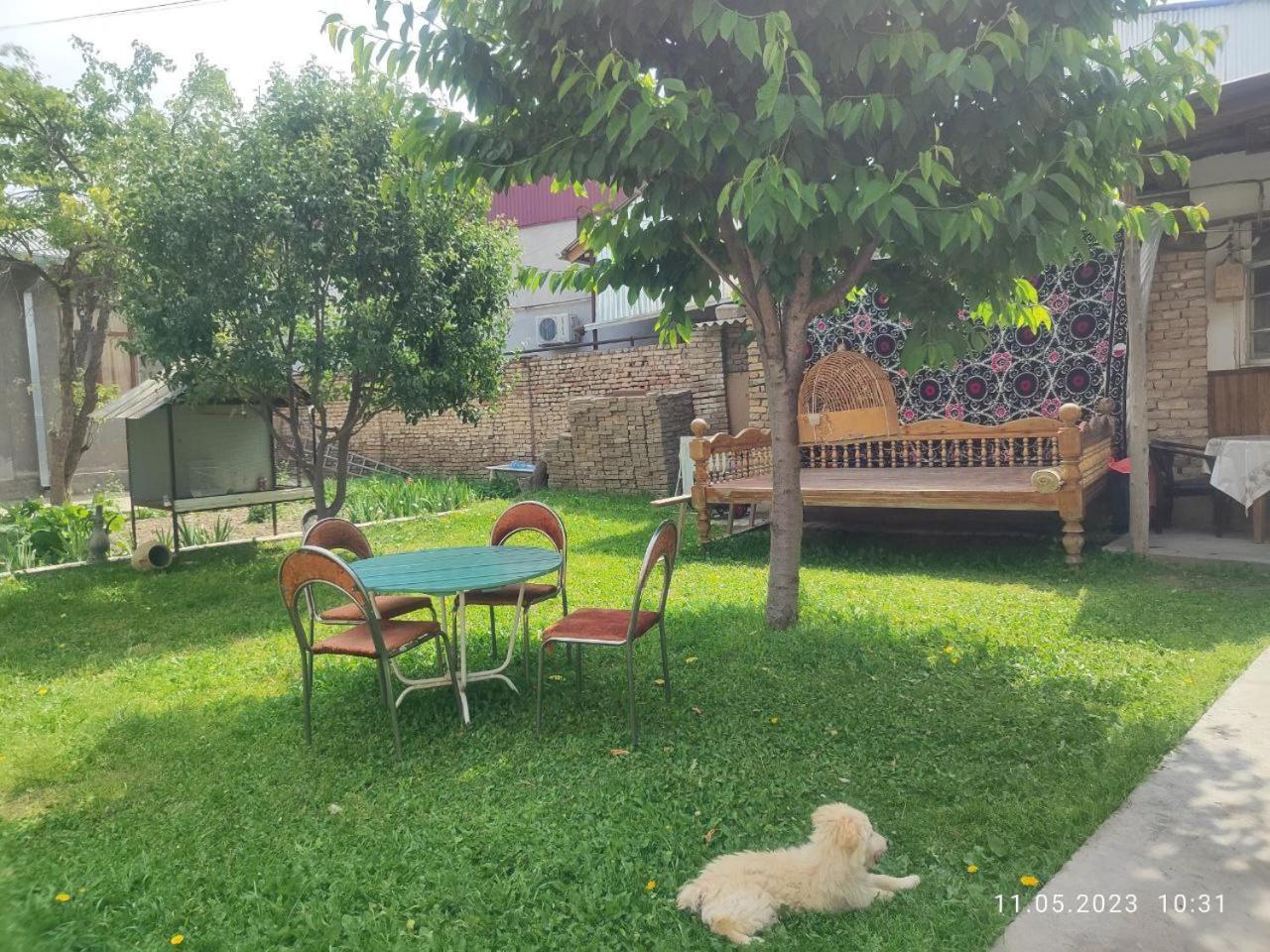 Tasmin Mexr Hostel 사마르칸트 외부 사진